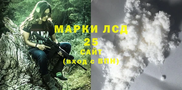 хмурый Белокуриха