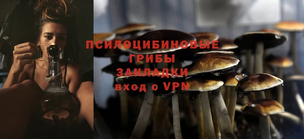 первитин Богородск