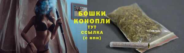 амф Богородицк