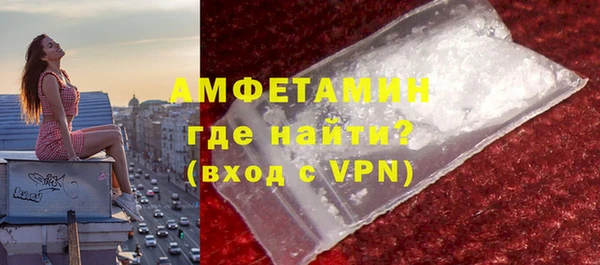 хмурый Белокуриха