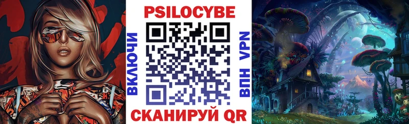 кракен ссылки  Берёзовский  Галлюциногенные грибы Cubensis 